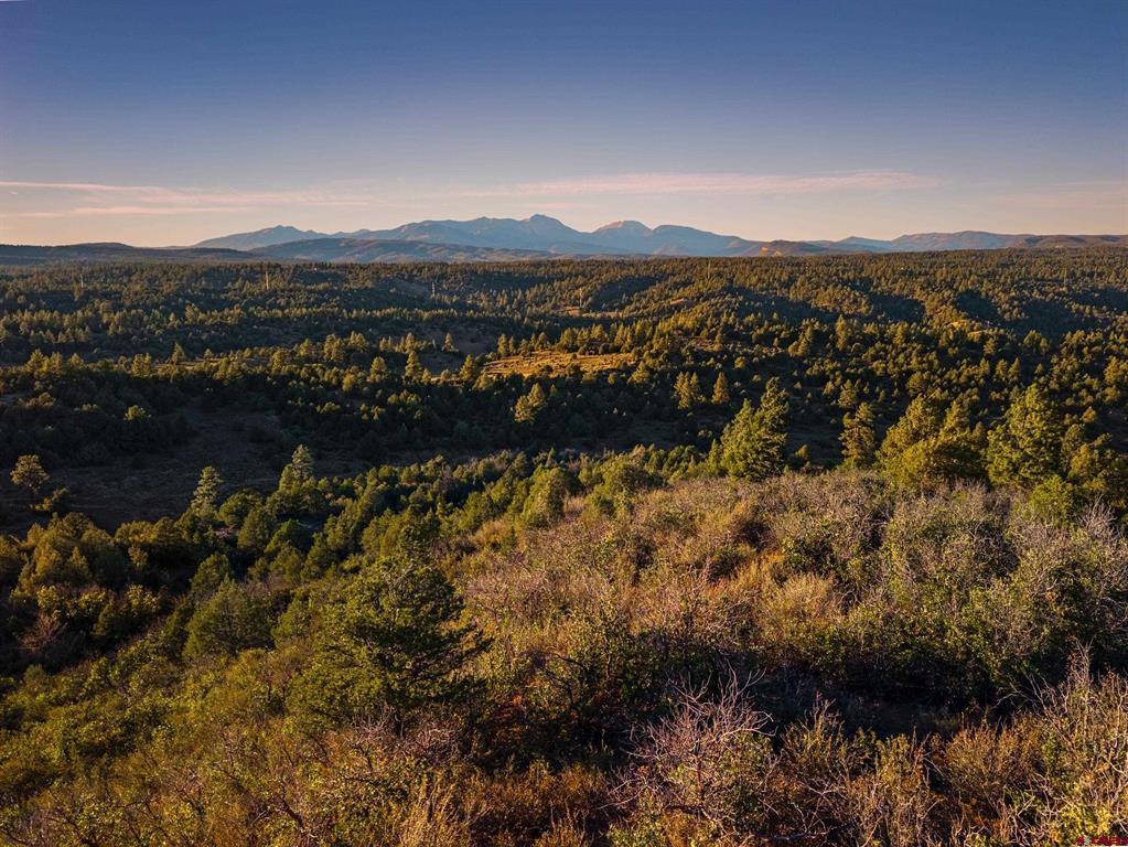 Tbd Silvermine Drive Property Photo 18