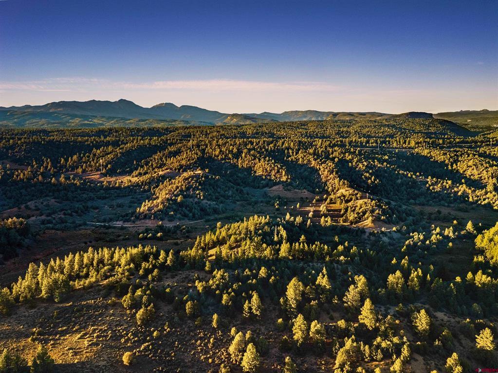 Tbd Silvermine Drive Property Photo 19