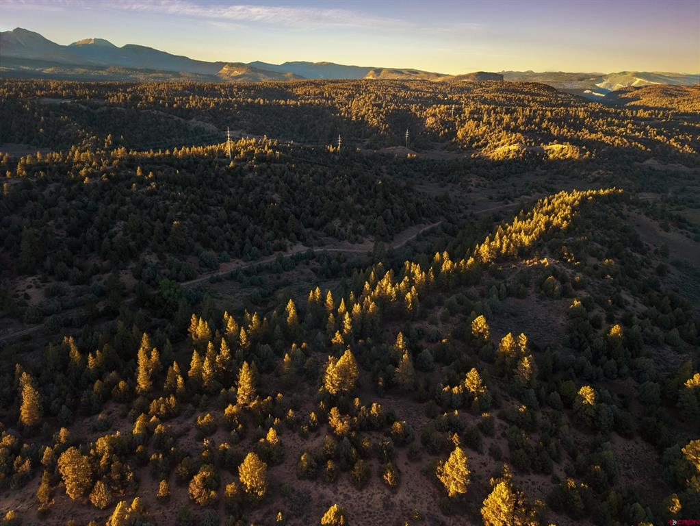Tbd Silvermine Drive Property Photo 36