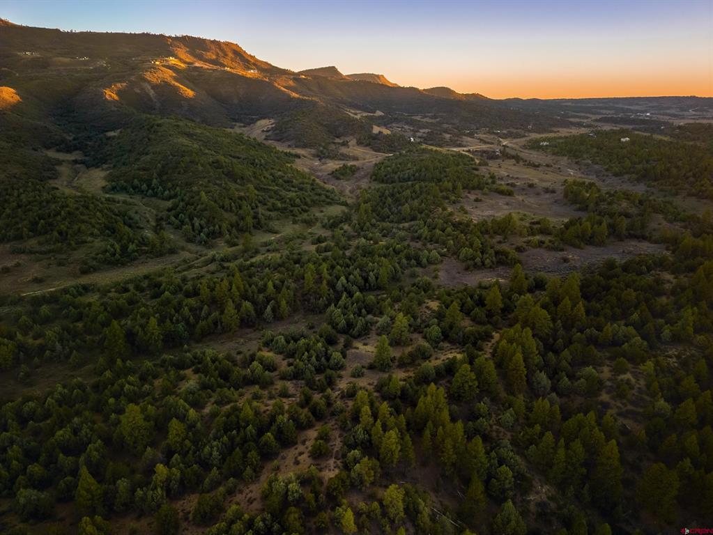 Tbd Silvermine Drive Property Photo 37