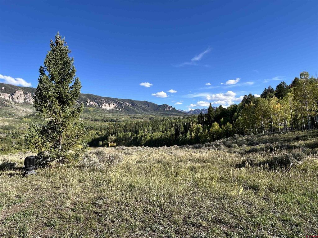 28 Columbine Trail Property Photo 24