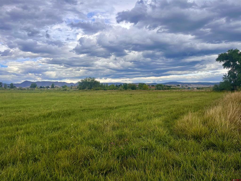 Tbd E Higway 50 Property Photo 10