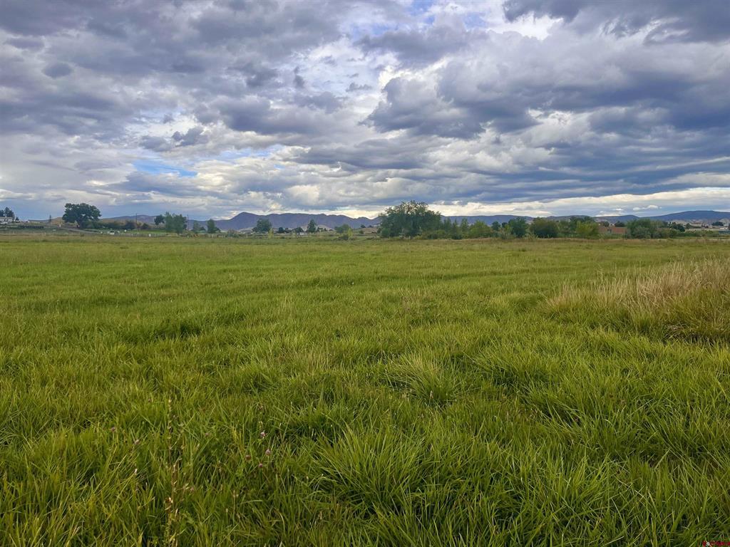 Tbd E Higway 50 Property Photo 11