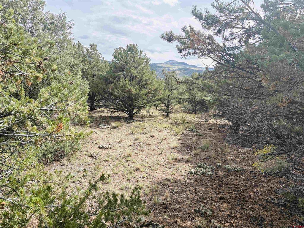 642 Milner Pass Property Photo 2