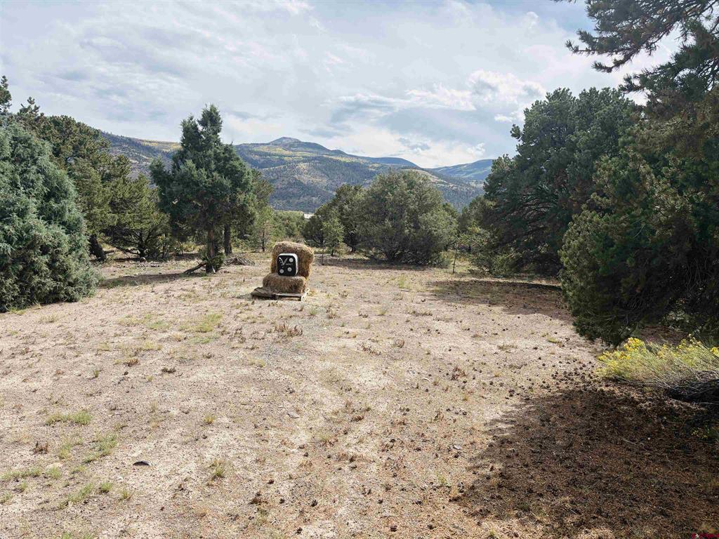 642 Milner Pass Property Photo 3