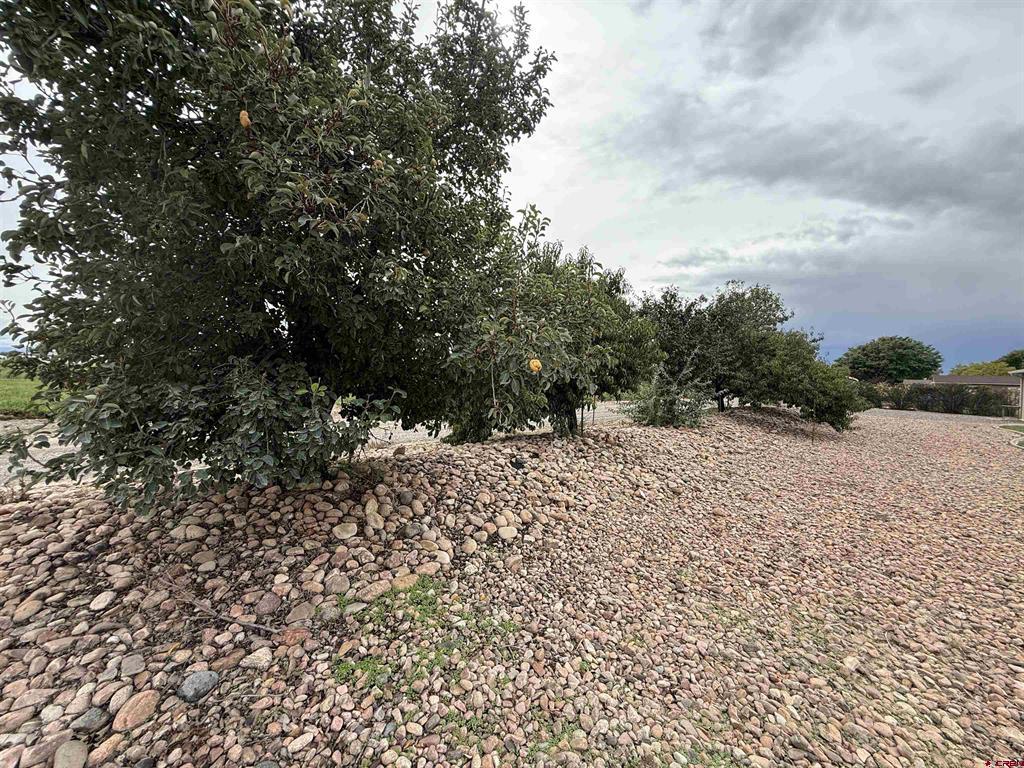 1232 Sunset Drive Property Photo 37