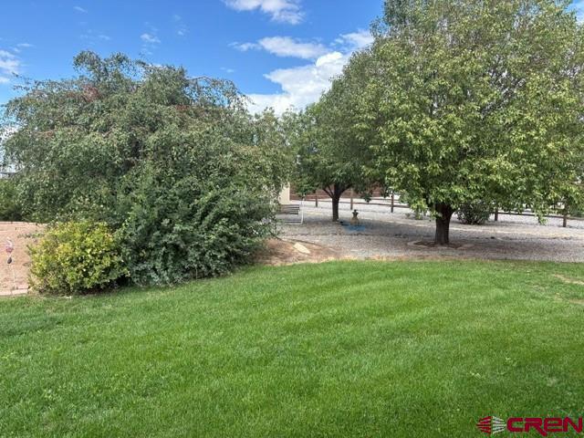 8705 Saddle Ridge Road Property Photo 39