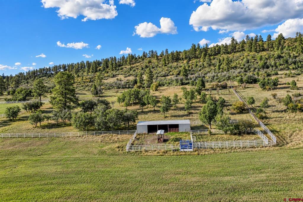 12250 Road 44 Property Photo 37