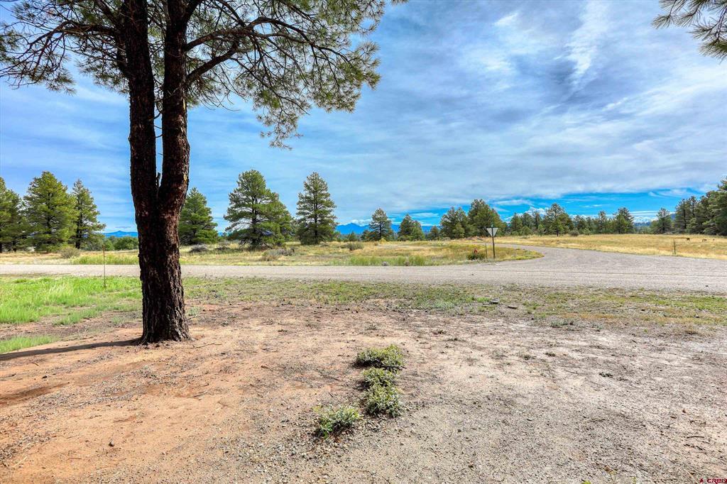 207 Domicile Circle Property Photo 4