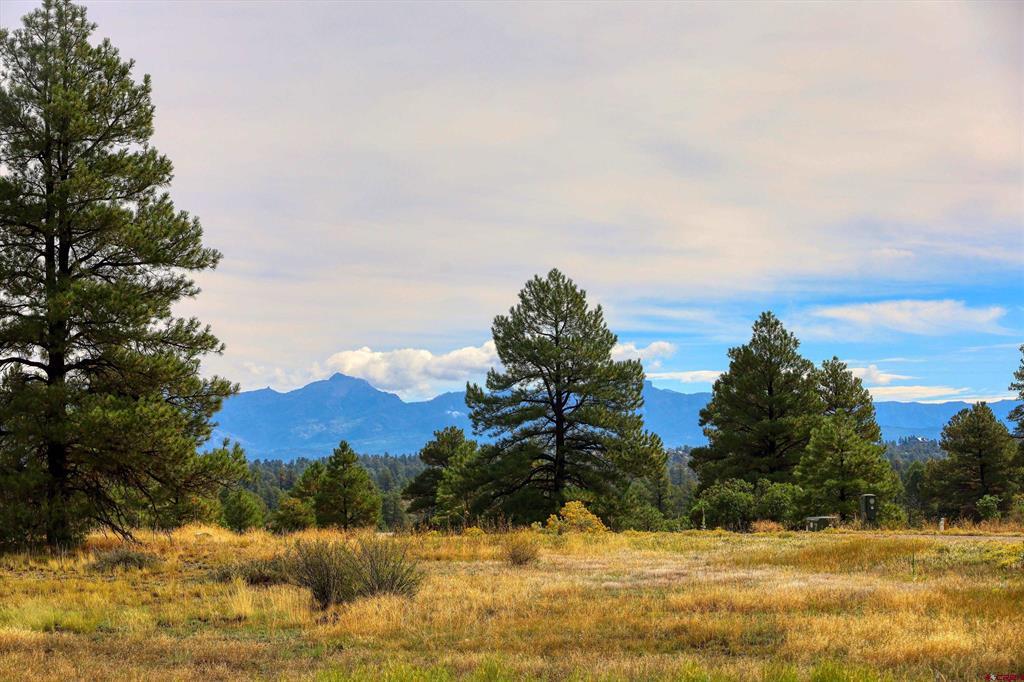 207 Domicile Circle Property Photo 41