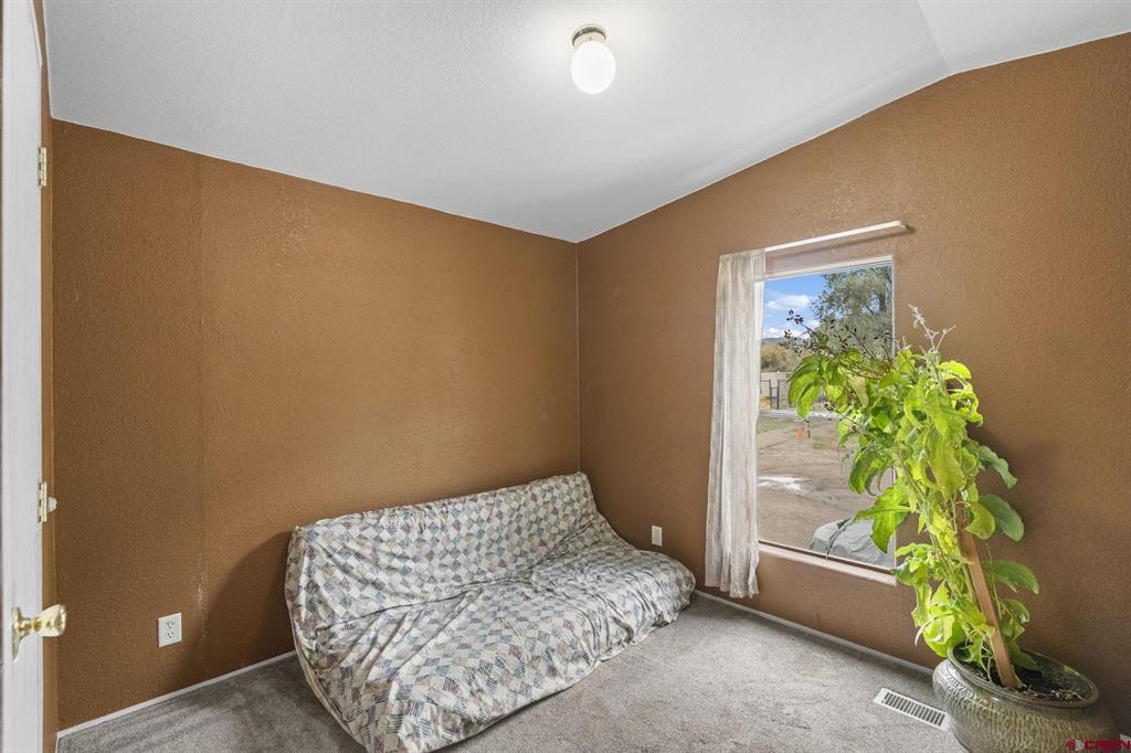 288 Animas View Drive Property Photo 24