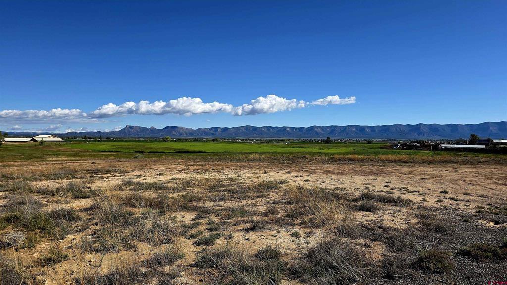 Tbd N Road Property Photo 3