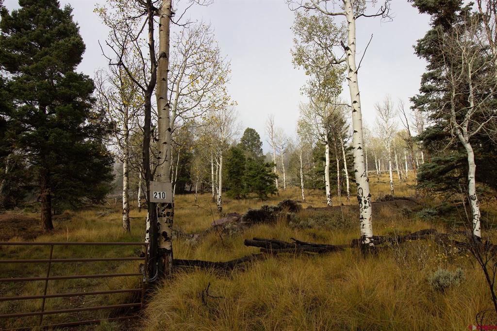 210 Kebler Trail Property Photo 4