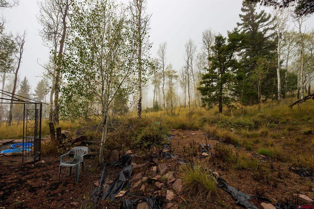210 Kebler Trail Property Photo 16