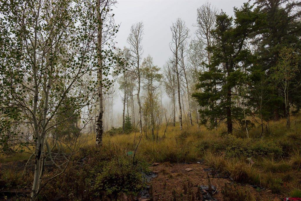 210 Kebler Trail Property Photo 17