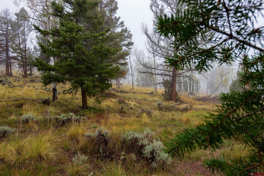 210 Kebler Trail Property Photo 18