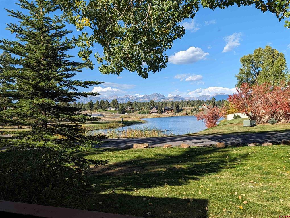 247 Davis Cup Property Photo 31