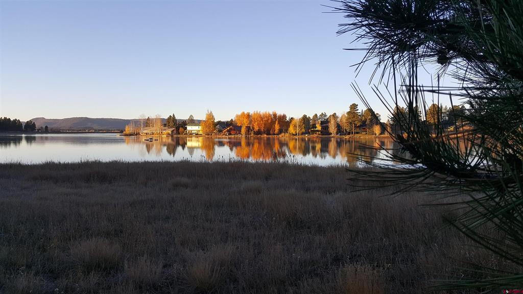 247 Davis Cup Property Photo 33