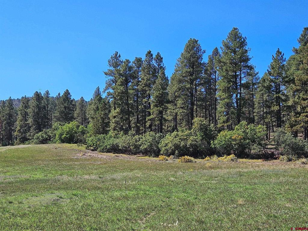 Tbd County Road 502 Property Photo 1