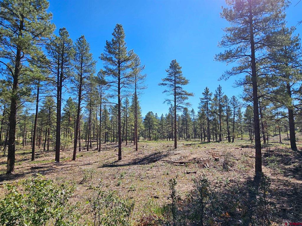 Tbd County Road 502 Property Photo 3