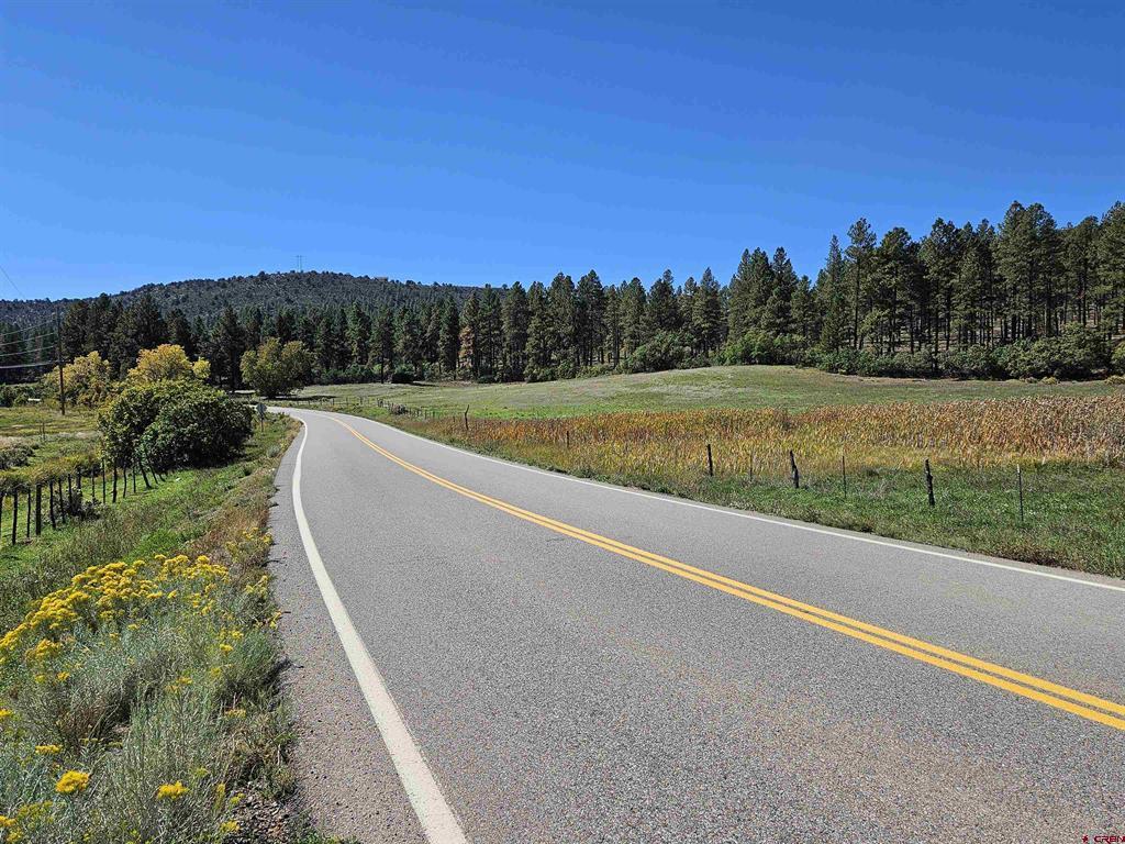 Tbd County Road 502 Property Photo 4