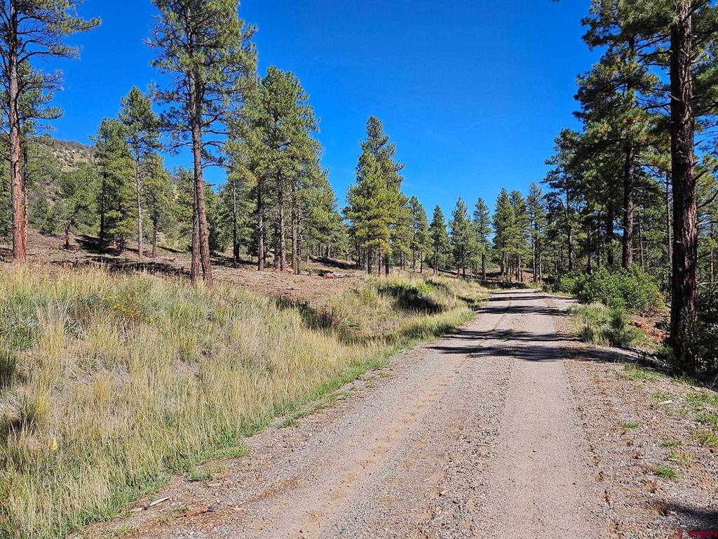 Tbd County Road 502 Property Photo 5