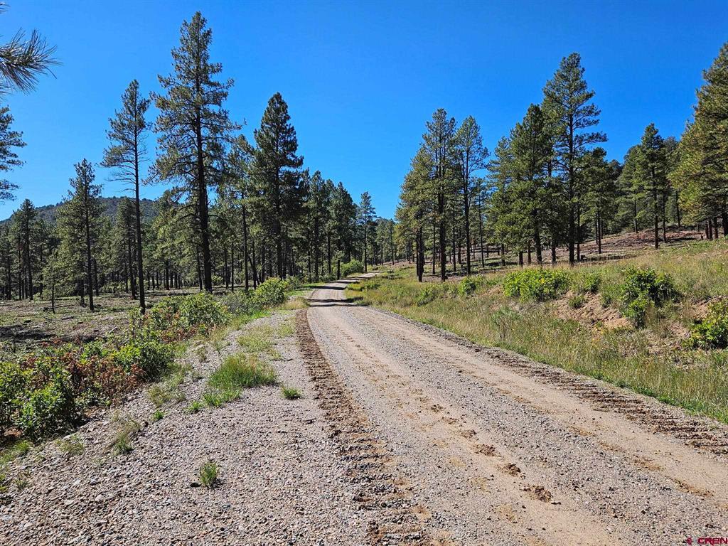 Tbd County Road 502 Property Photo 6