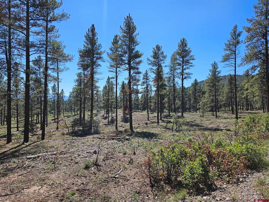Tbd County Road 502 Property Photo 7