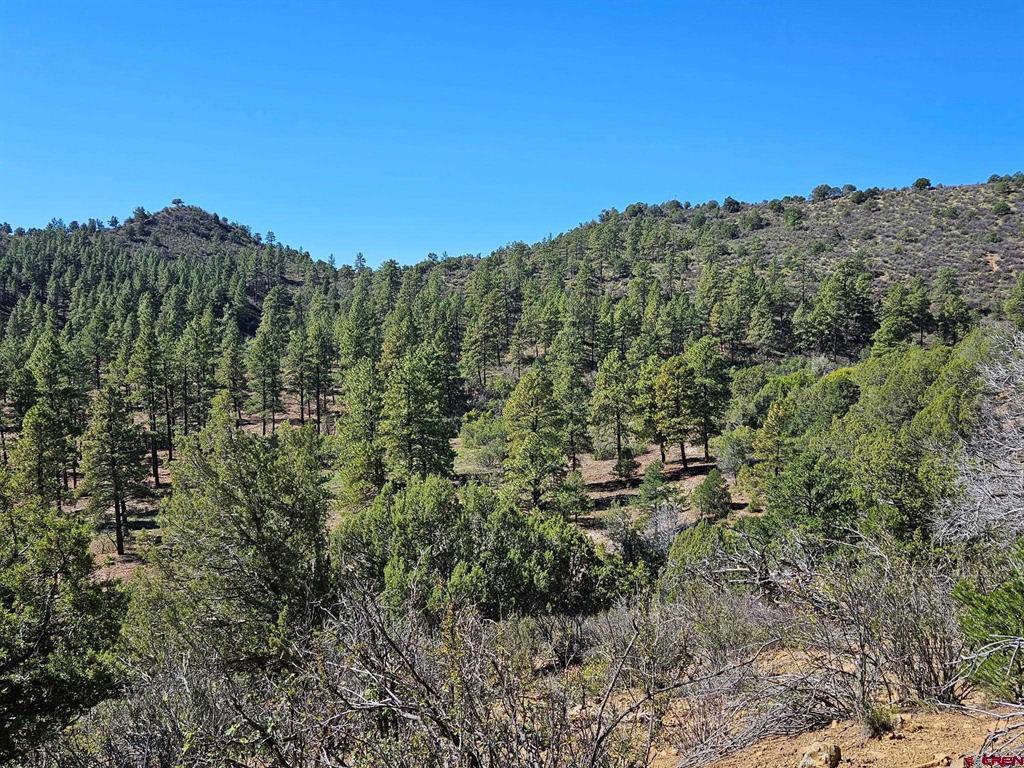 Tbd County Road 502 Property Photo 8