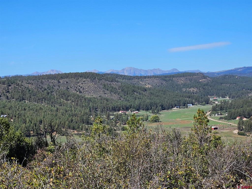 Tbd County Road 502 Property Photo 9