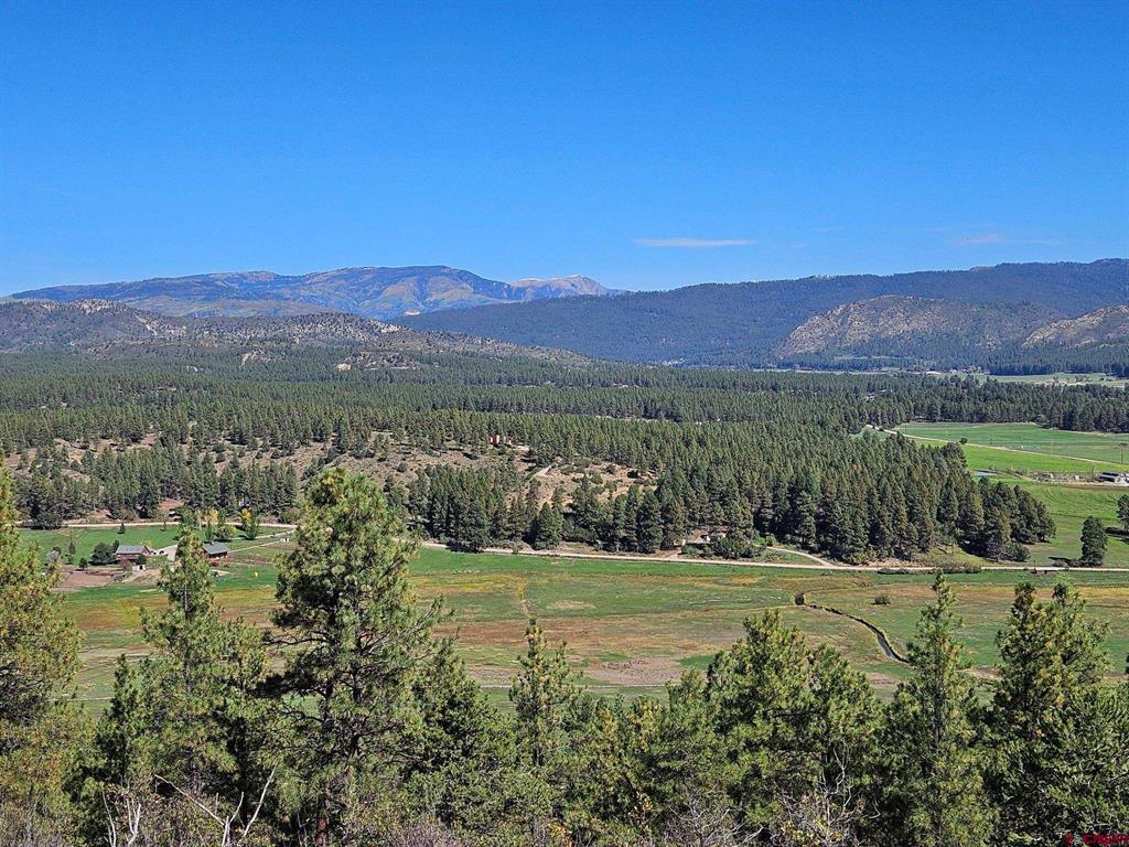 Tbd County Road 502 Property Photo 10