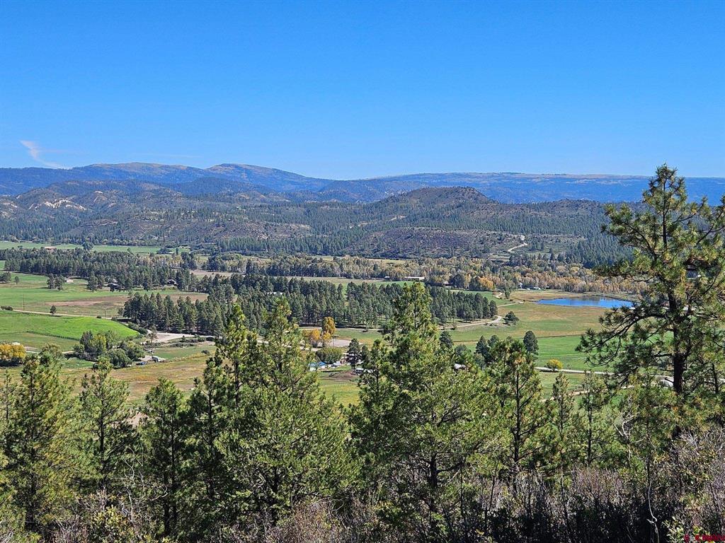 Tbd County Road 502 Property Photo 11