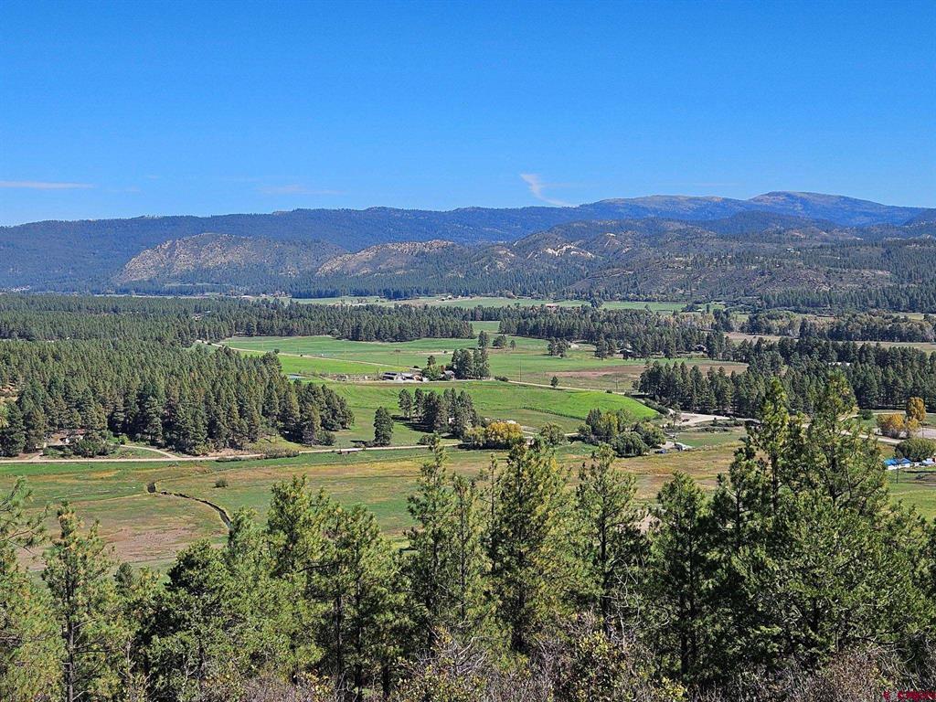 Tbd County Road 502 Property Photo 12