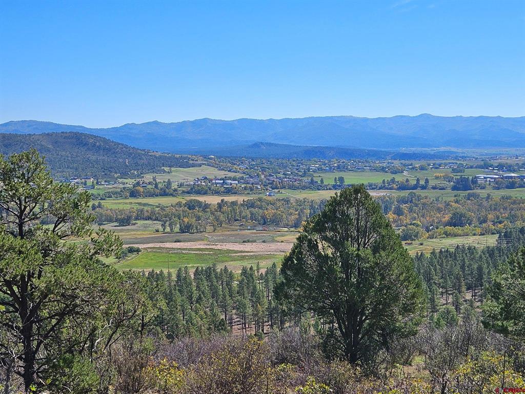 Tbd County Road 502 Property Photo 13