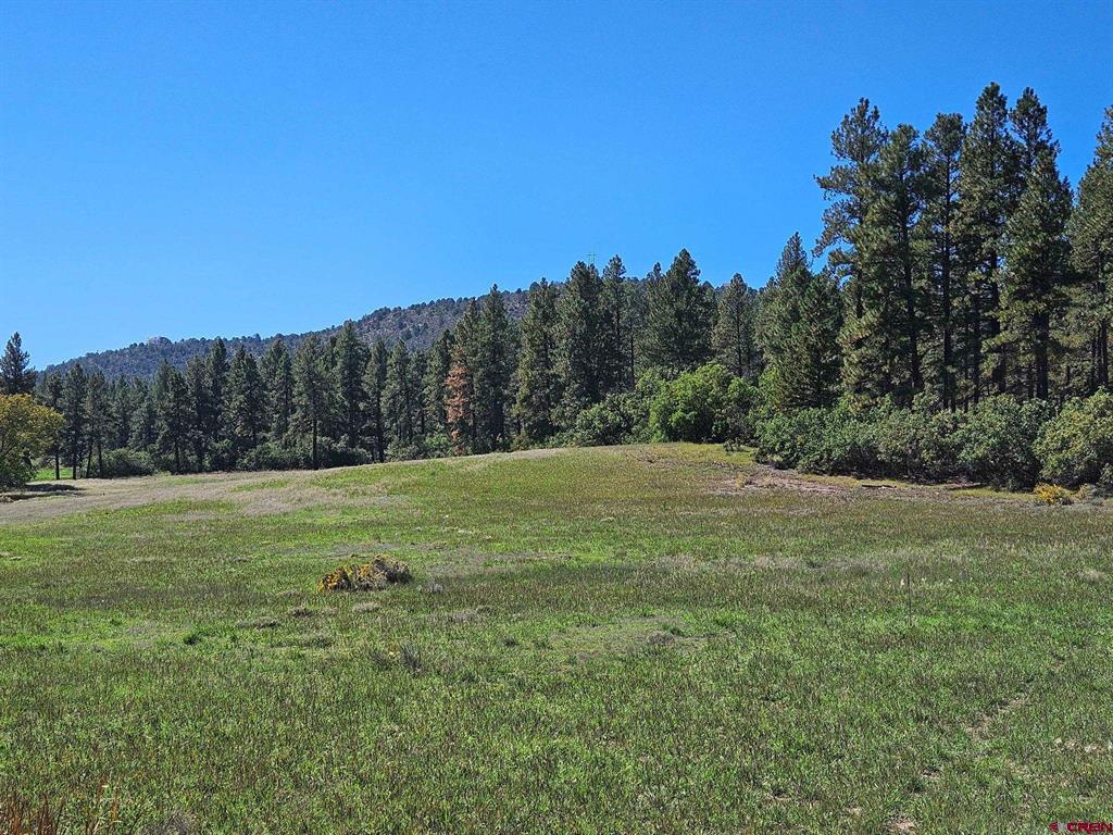 Tbd County Road 502 Property Photo 14