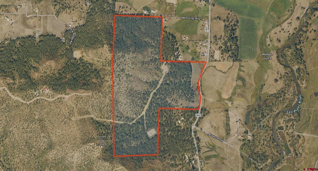 Tbd County Road 502 Property Photo 16