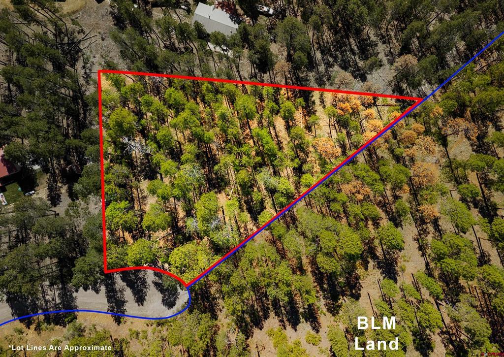 20 Elk Drive Property Photo 2