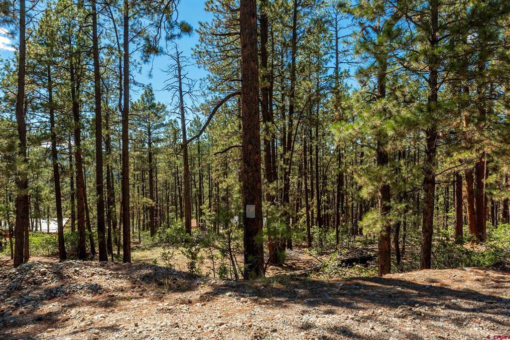 20 Elk Drive Property Photo 8