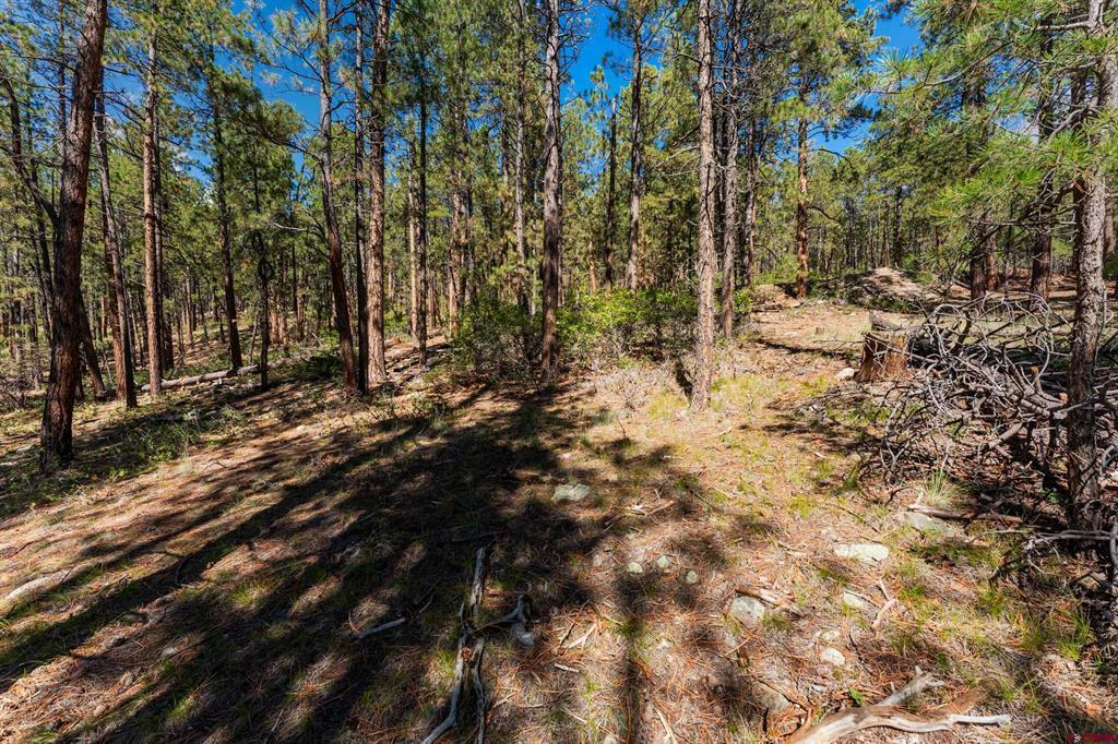 20 Elk Drive Property Photo 10