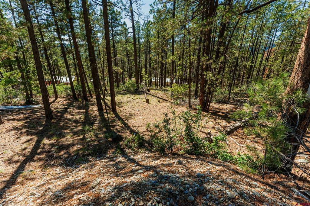 20 Elk Drive Property Photo 14
