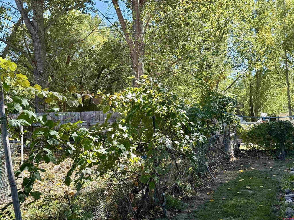 718 S Church Avenue Property Photo 30
