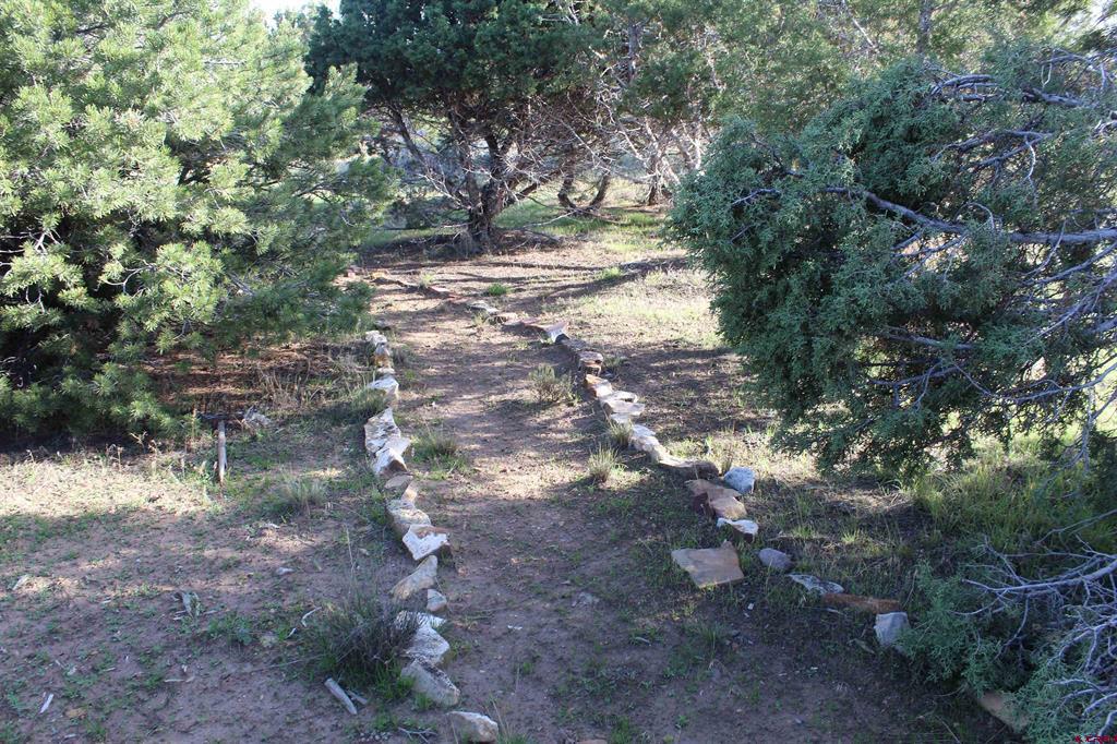 215 County Road 22a Property Photo 4