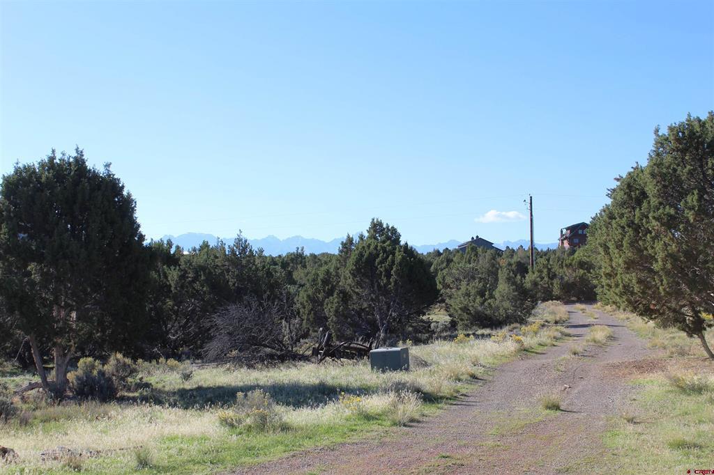 215 County Road 22a Property Photo 10