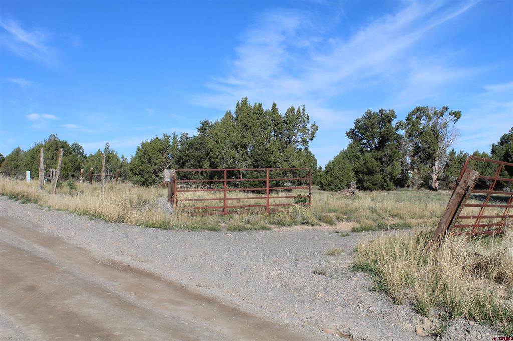 215 County Road 22a Property Photo 15