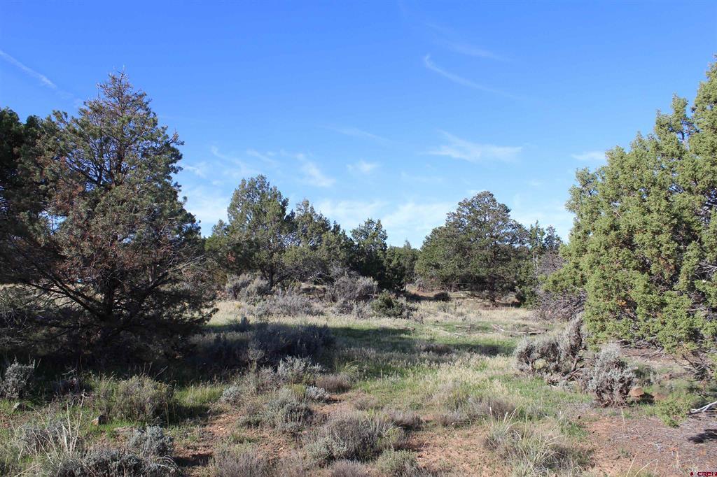 215 County Road 22a Property Photo 18