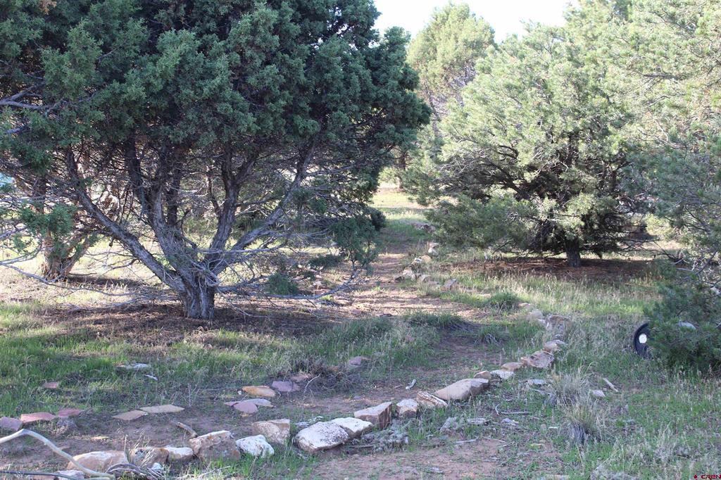 215 County Road 22a Property Photo 19