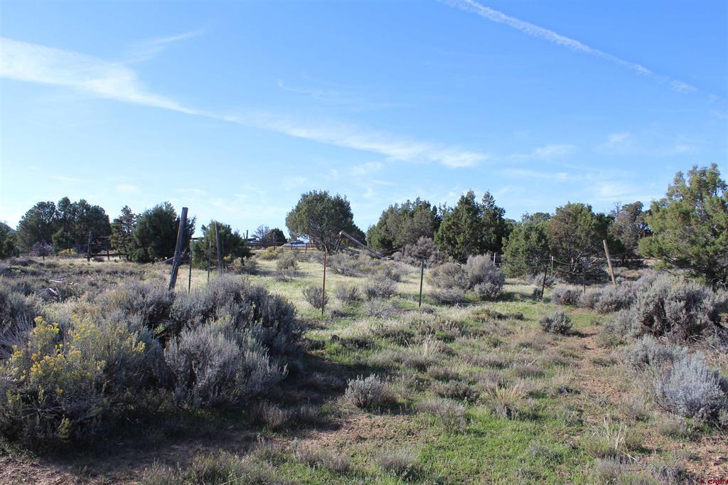 215 County Road 22a Property Photo 21
