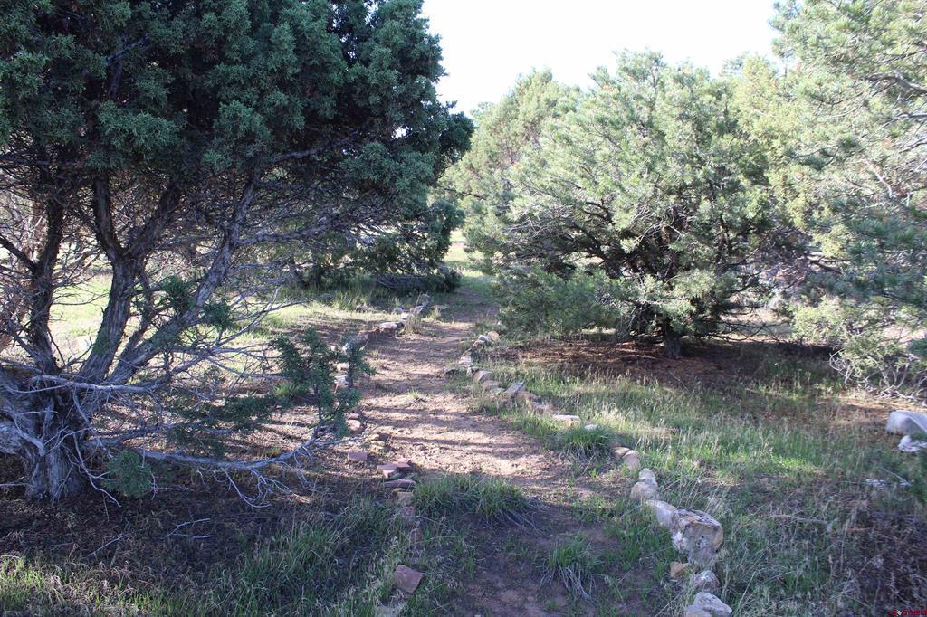 215 County Road 22a Property Photo 23