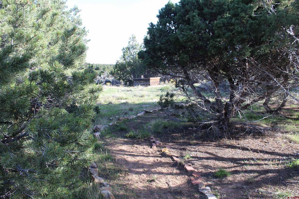 215 County Road 22a Property Photo 24