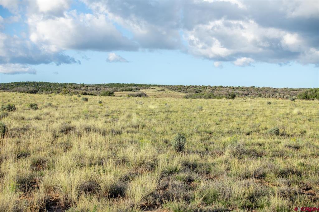 Tbd Road X Property Photo 2